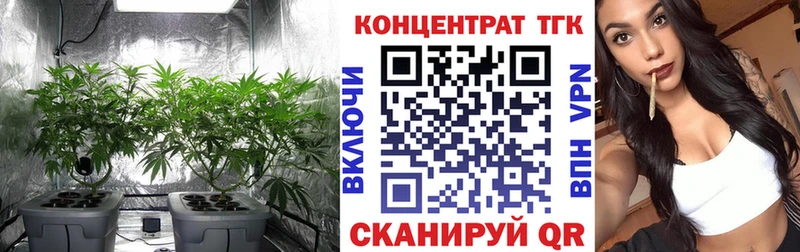 ТГК концентрат Кяхта